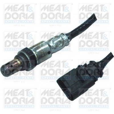 Oxygen Sensor
